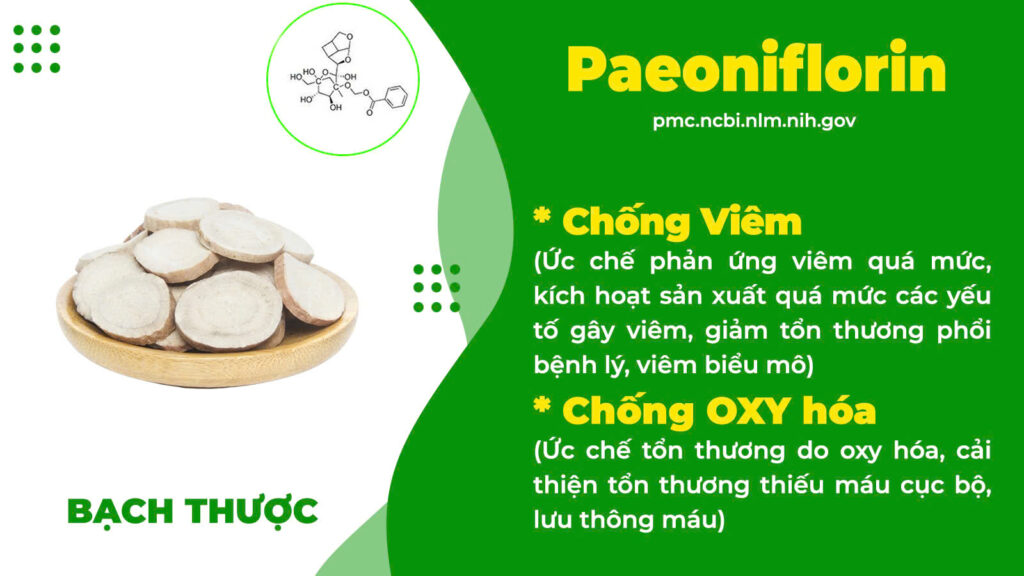 Thành phần hoá học hen phế quản