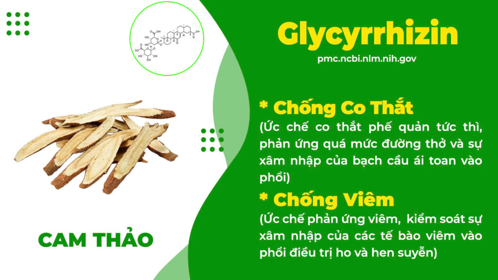 Thành phần hoá học hen phế quản