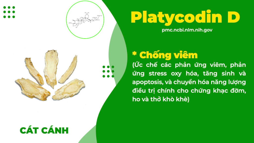 Thành phần hoá học hen phế quản
