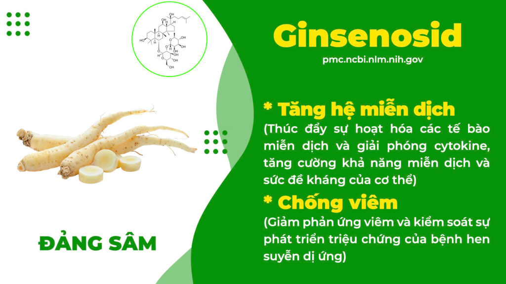 Thành phần hoá học hen phế quản