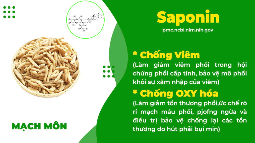 Thành phần hoá học hen phế quản