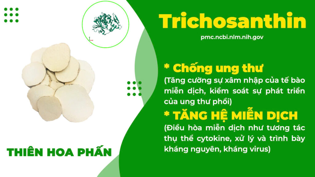 Thành phần hoá học hen phế quản