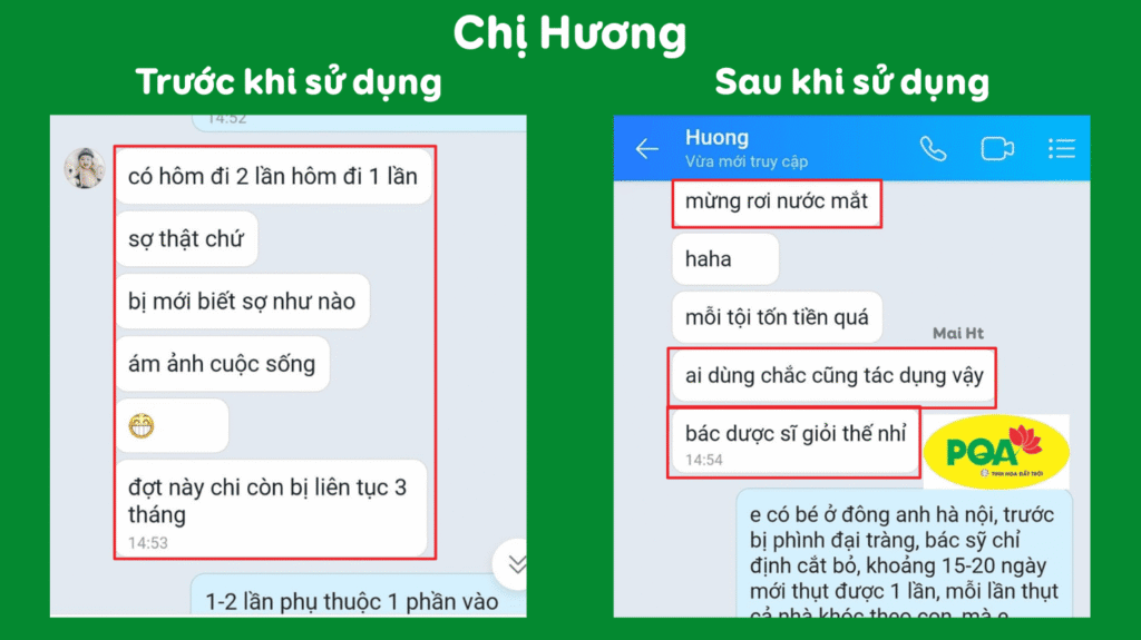 Feedback trước sau đại hoàng