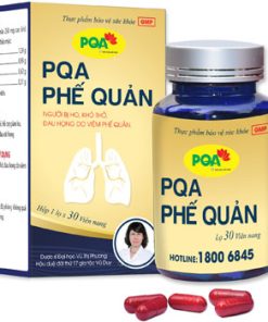 PQA PHẾ QUẢN VIÊN NANG (30v)