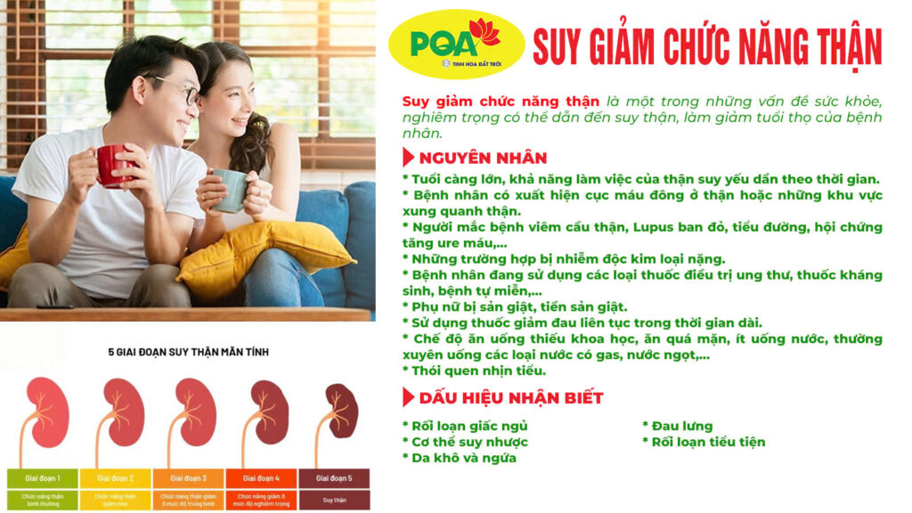 Nguyên nhân và dấu hiệu suy giảm chức năng thận