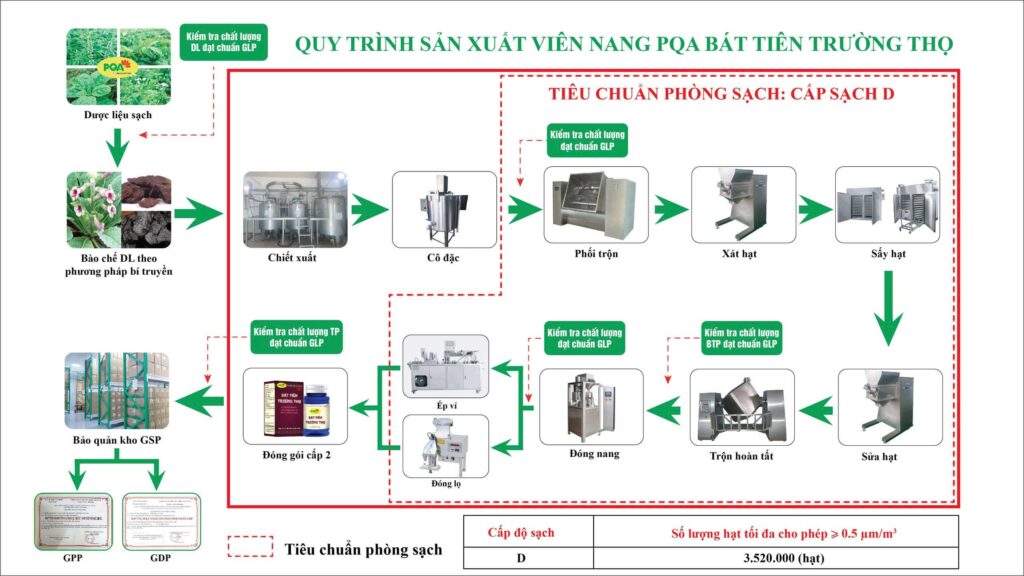 QTSX Bát tiên viên nang