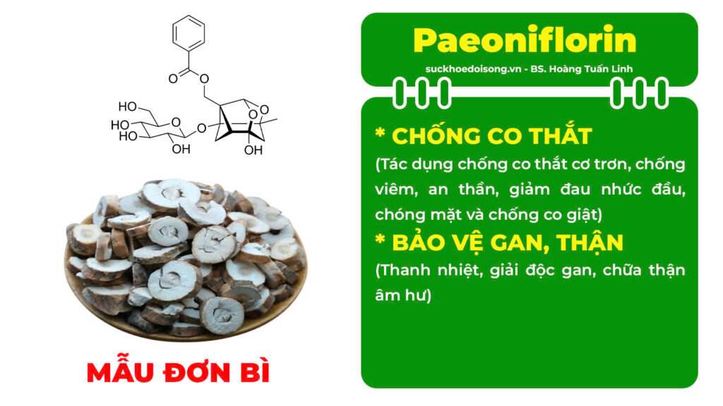 Thành phần hoá học Mệnh môn thuỷ viên nang