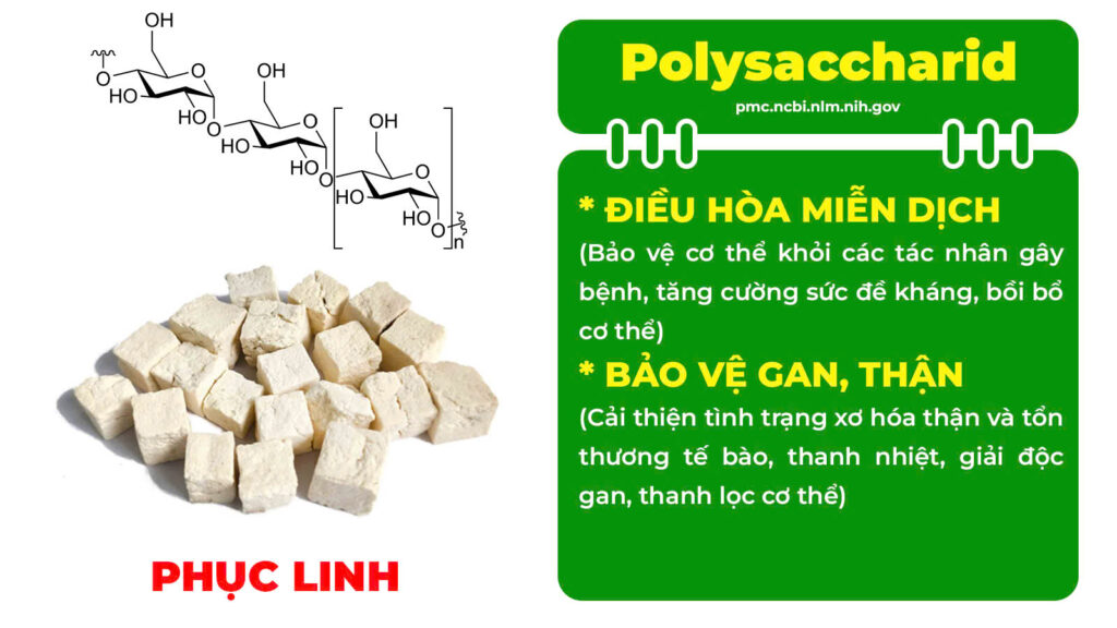 Thành phần hoá học Mệnh môn thuỷ viên nang