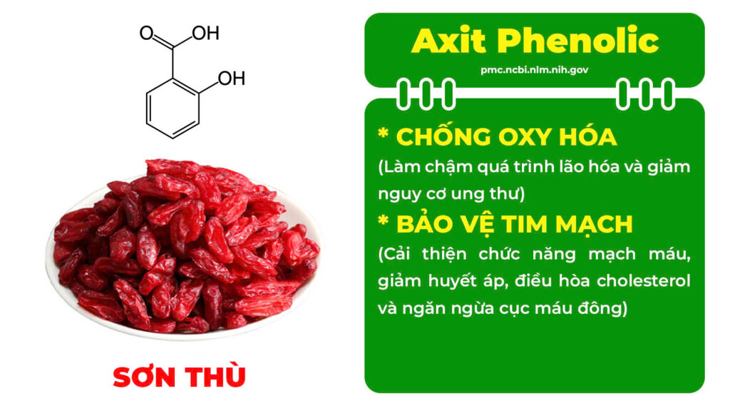 Thành phần hoá học Mệnh môn thuỷ viên nang