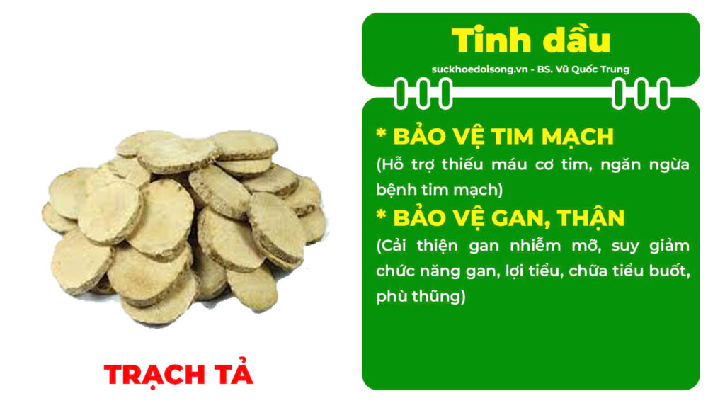 Thành phần hoá học Mệnh môn thuỷ viên nang