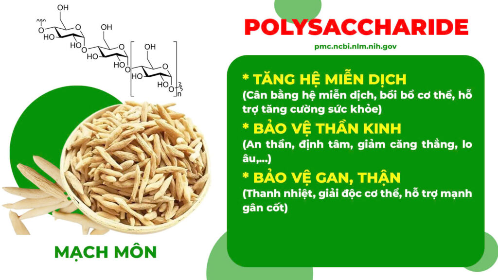 Thành phần hoá học bát tiên trường thọ 