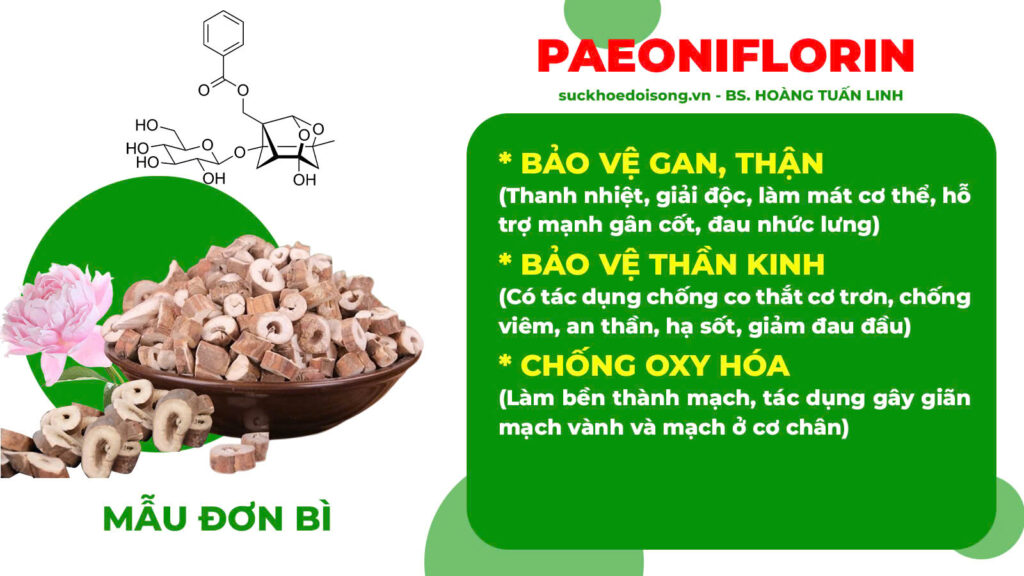 Thành phần hoá học bát tiên trường thọ 