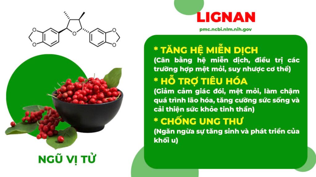 Thành phần hoá học bát tiên trường thọ 