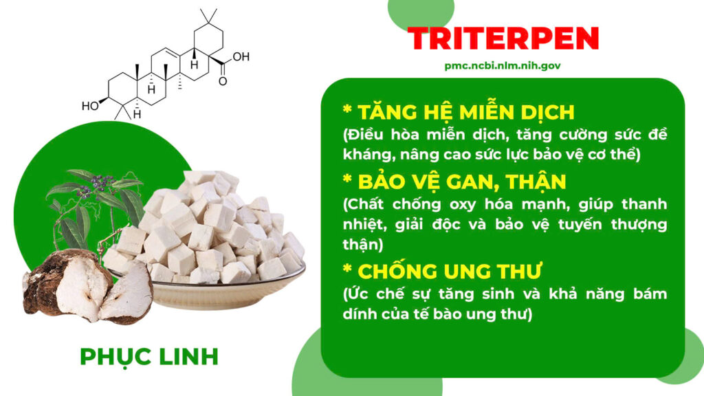 Thành phần hoá học bát tiên trường thọ 