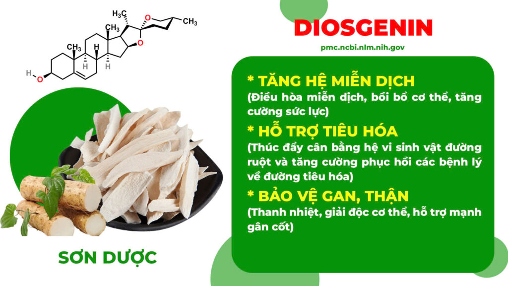 Thành phần hoá học bát tiên trường thọ 