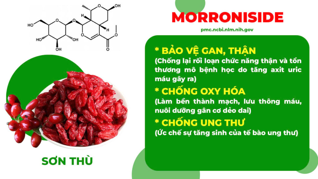 Thành phần hoá học bát tiên trường thọ 