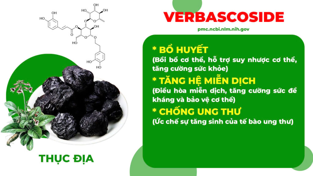 Thành phần hoá học bát tiên trường thọ 