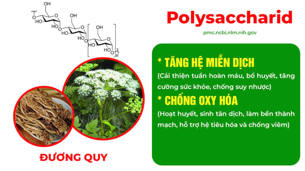 Thành phần hoá học hoàng liên 