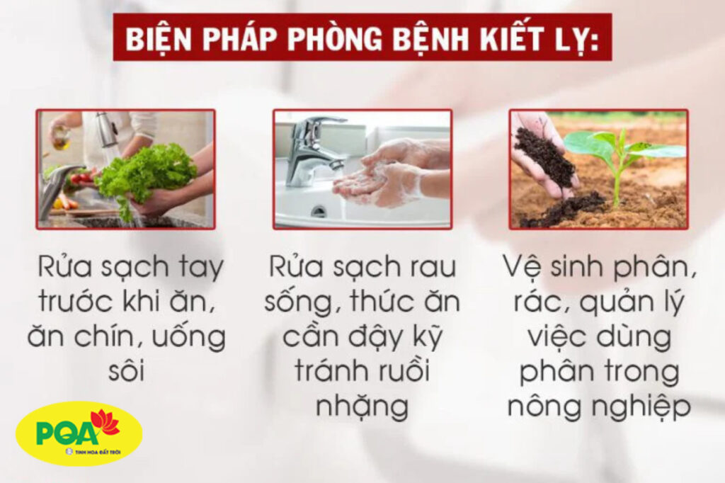 Dược phẩm PQA