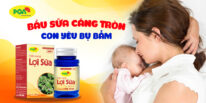 pqa lợi sữa