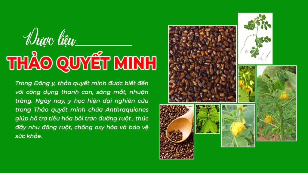 Câu chuyện sản phẩm táo kết