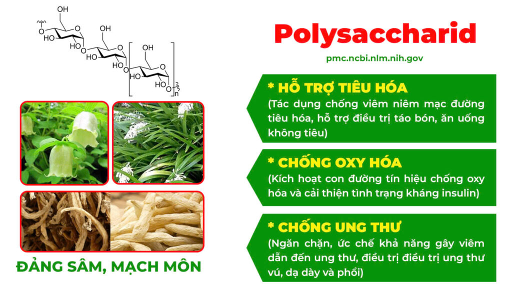 Thành phần hoá học táo kết 