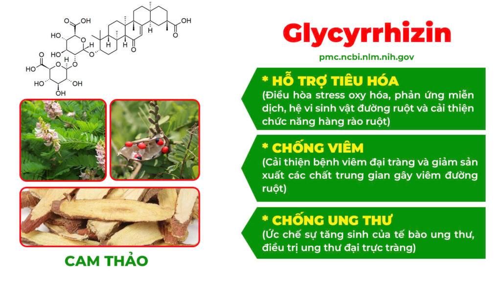 Thành phần hoá học táo kết 