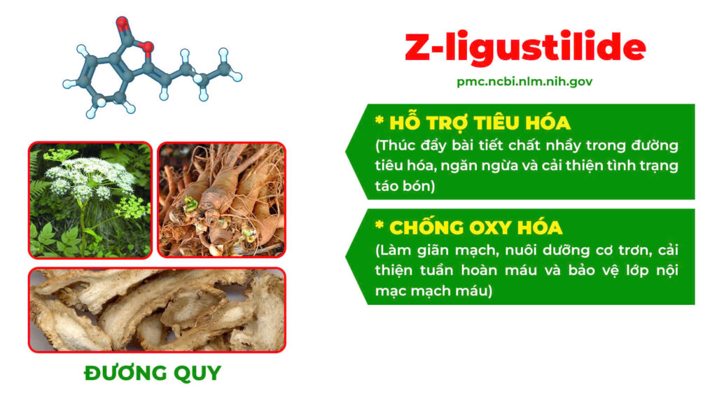 Thành phần hoá học táo kết 