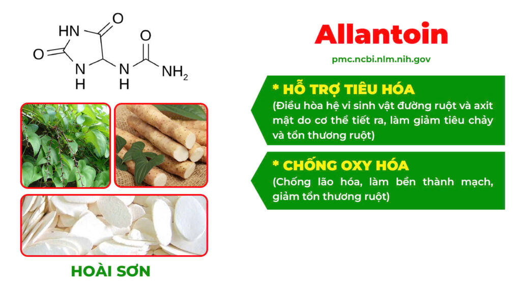 Thành phần hoá học táo kết 