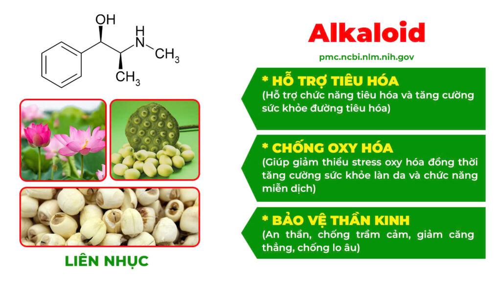 Thành phần hoá học táo kết 