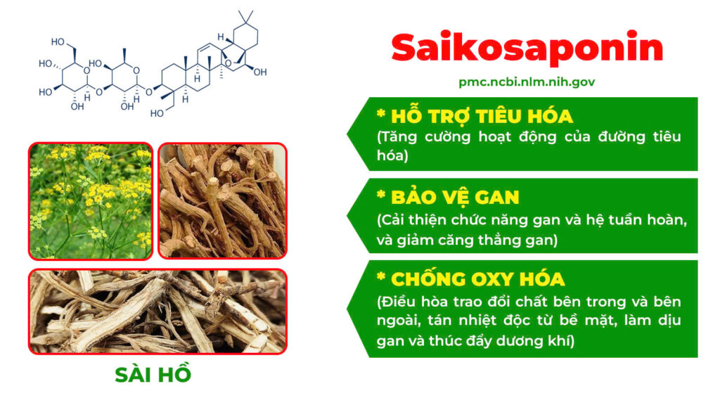 Thành phần hoá học táo kết 