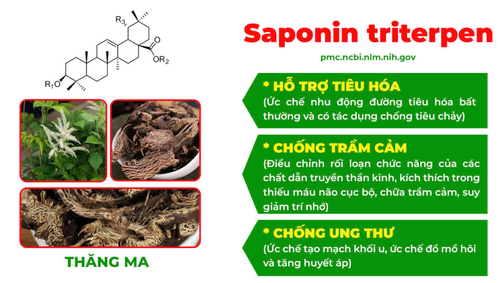 Thành phần hoá học táo kết 