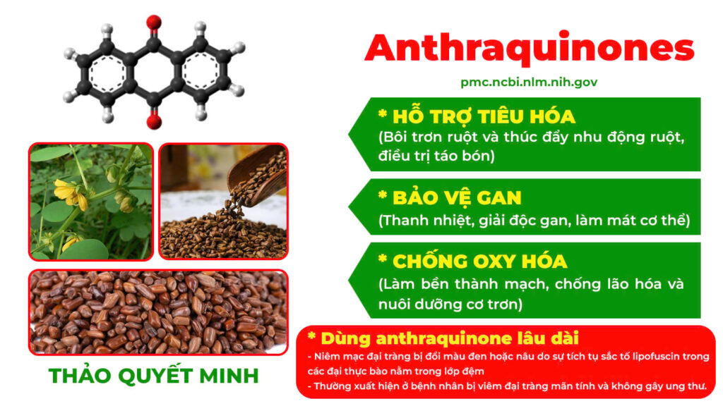 Thành phần hoá học táo kết 