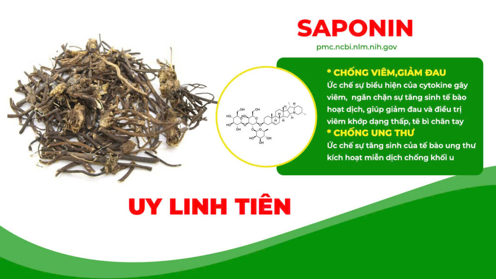 Thành phần hoá học xương khớp viên nang 