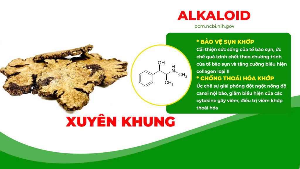 Thành phần hoá học xương khớp viên nang 