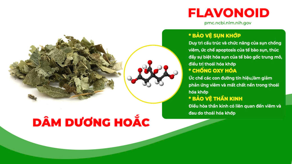 Thành phần hoá học xương khớp viên nang 