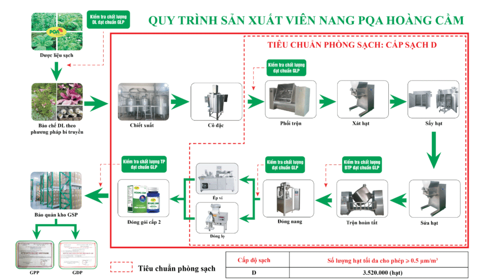 QTSX Hoàng cầm