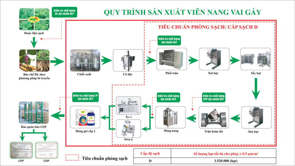 QTSX Viên nang vai gáy