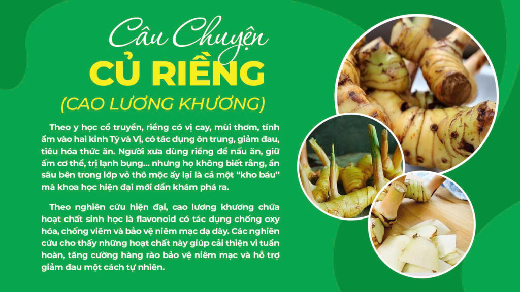 Dược phẩm PQA