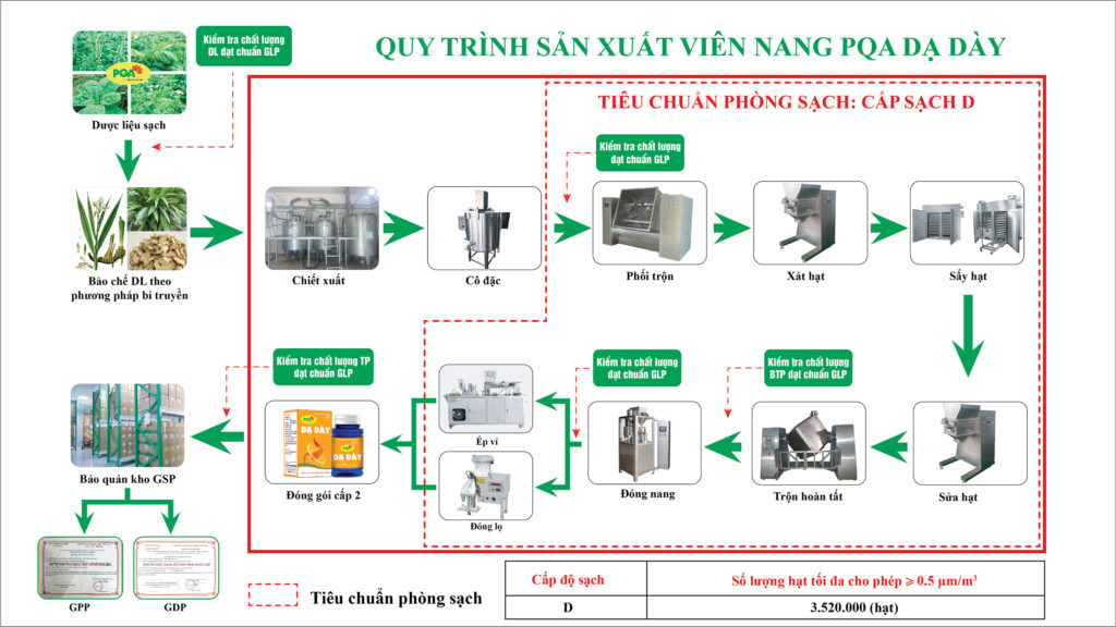 QTSX Viên nang dạ dày 