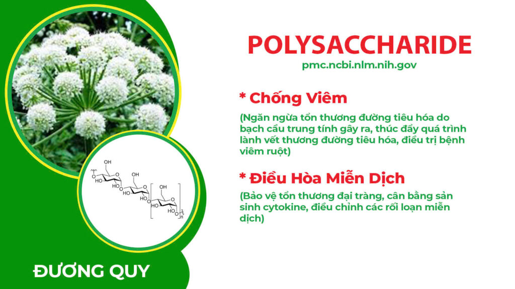 Dược phẩm PQA