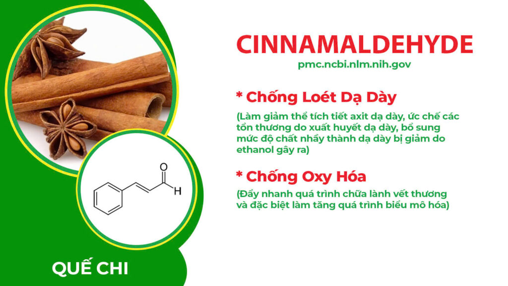 Dược phẩm PQA