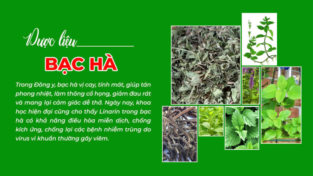 Dược phẩm PQA