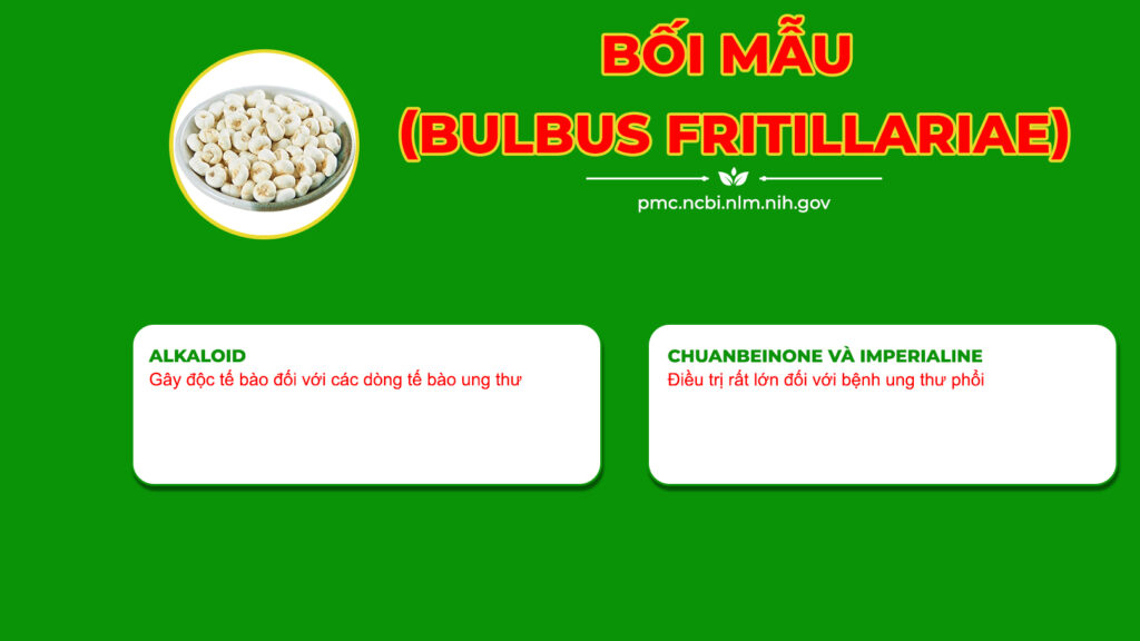 Dược phẩm PQA