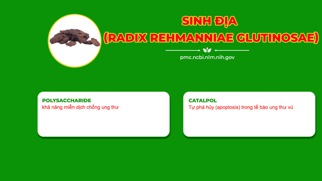 Dược phẩm PQA