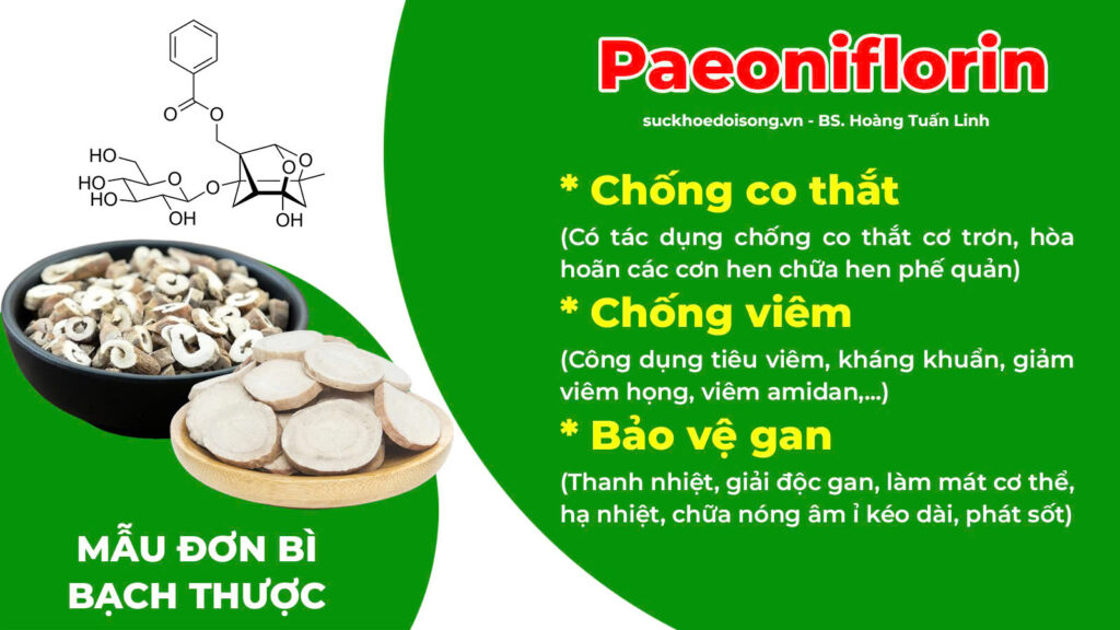 Thành phần hoá học thuốc amidan