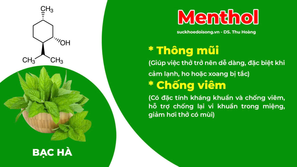 Thành phần hoá học thuốc amidan