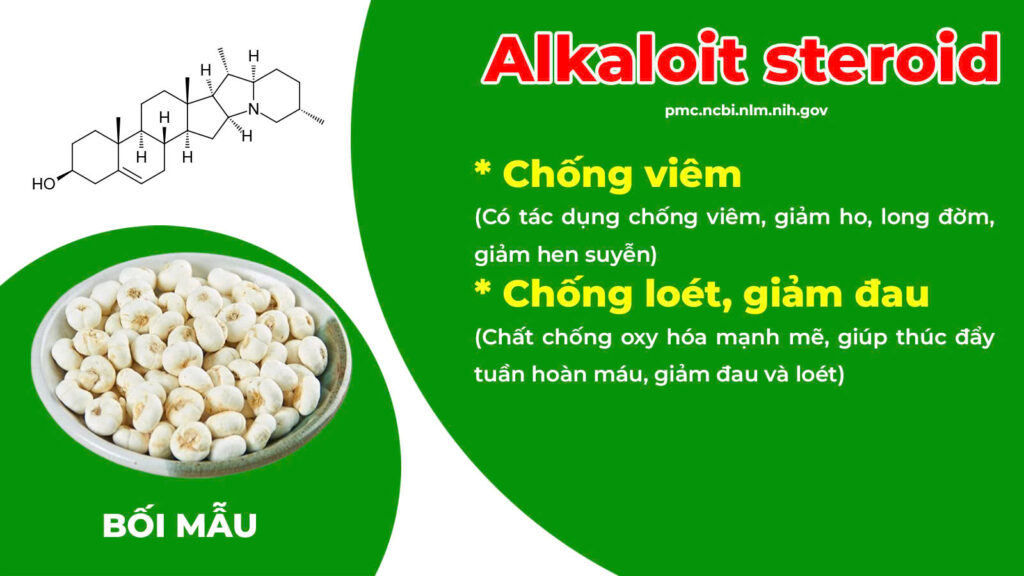 Thành phần hoá học thuốc amidan