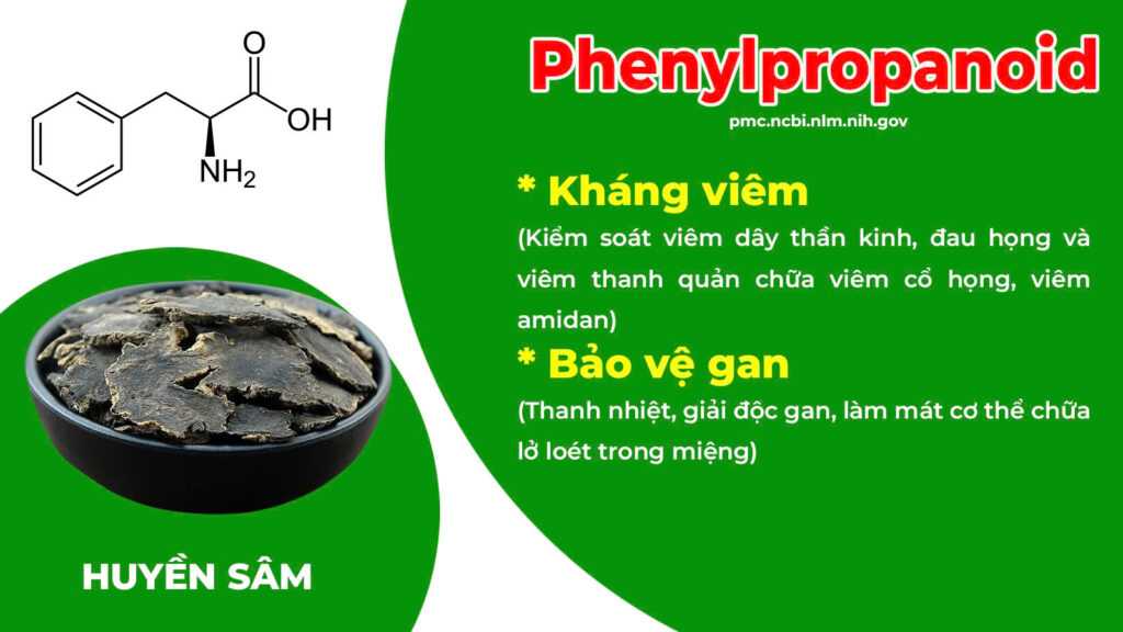 Thành phần hoá học thuốc amidan