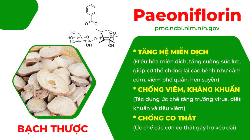 Thành phần hoá học thuốc hen suyễn